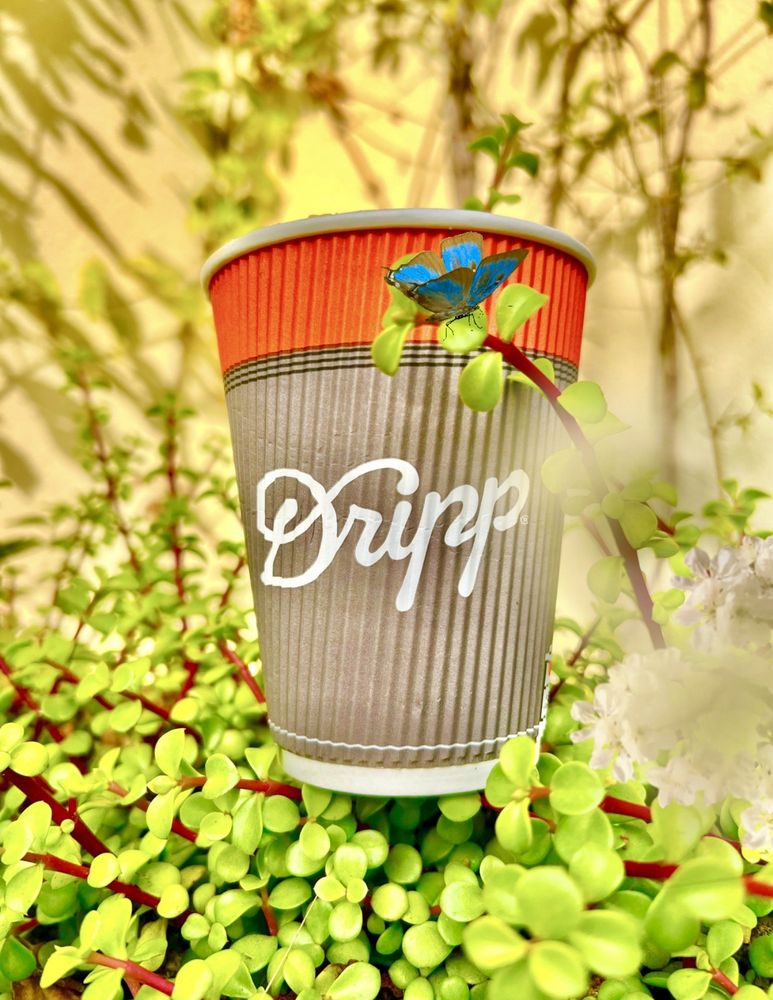 Dripp photo 4