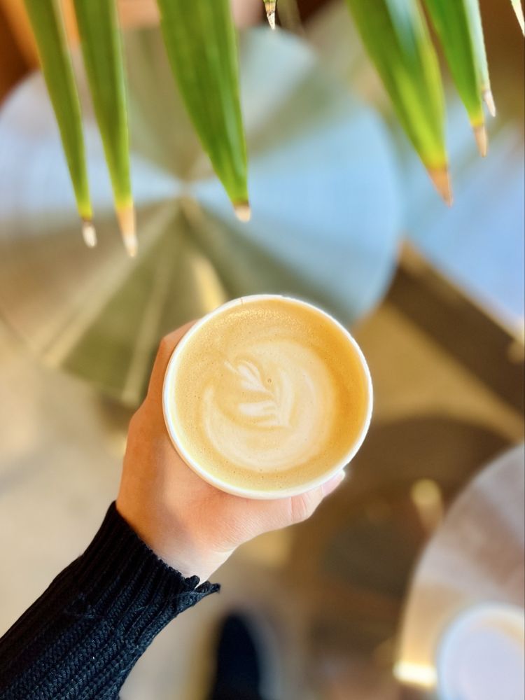 Leilo Coffee photo 3
