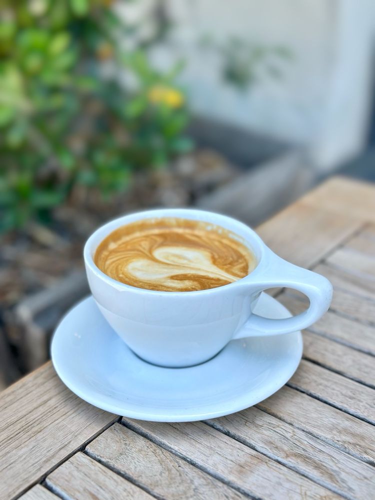 Rose Park Coffee Roasters photo 3