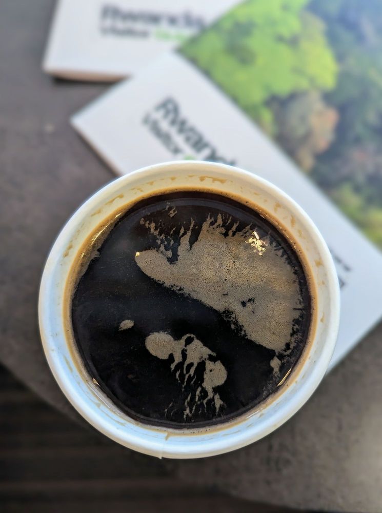 Silverback Coffee of Rwanda photo 3