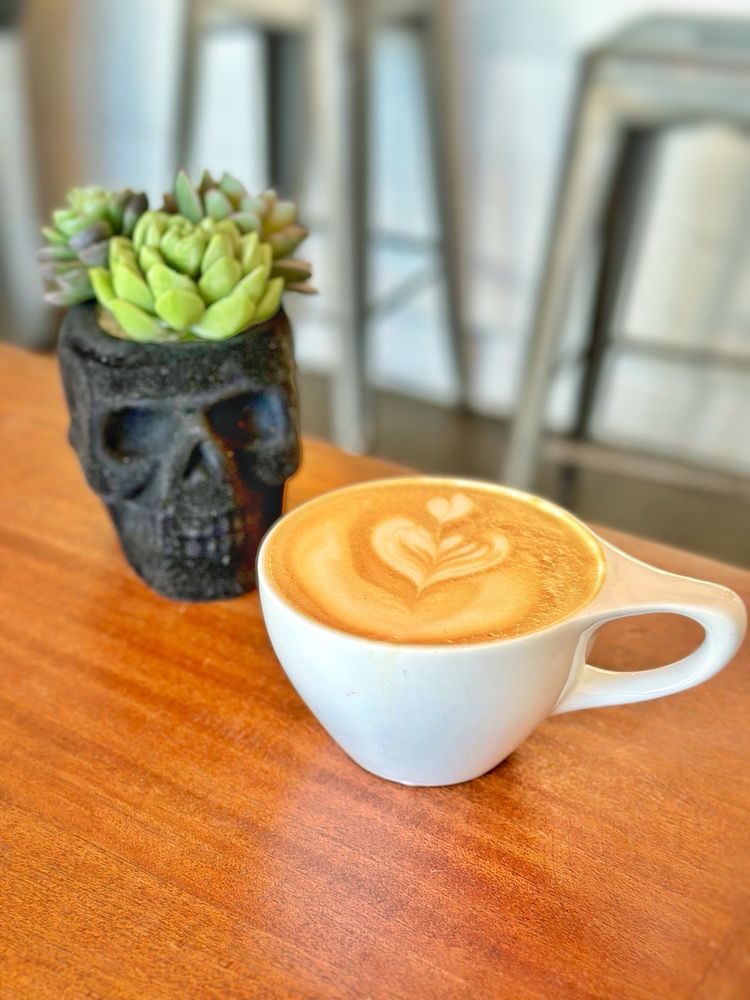 Steelhead Coffee interior
