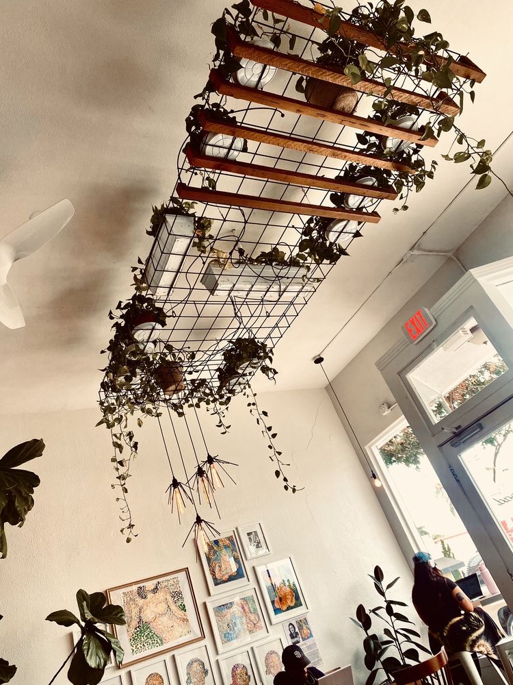 Steelhead Coffee photo 4